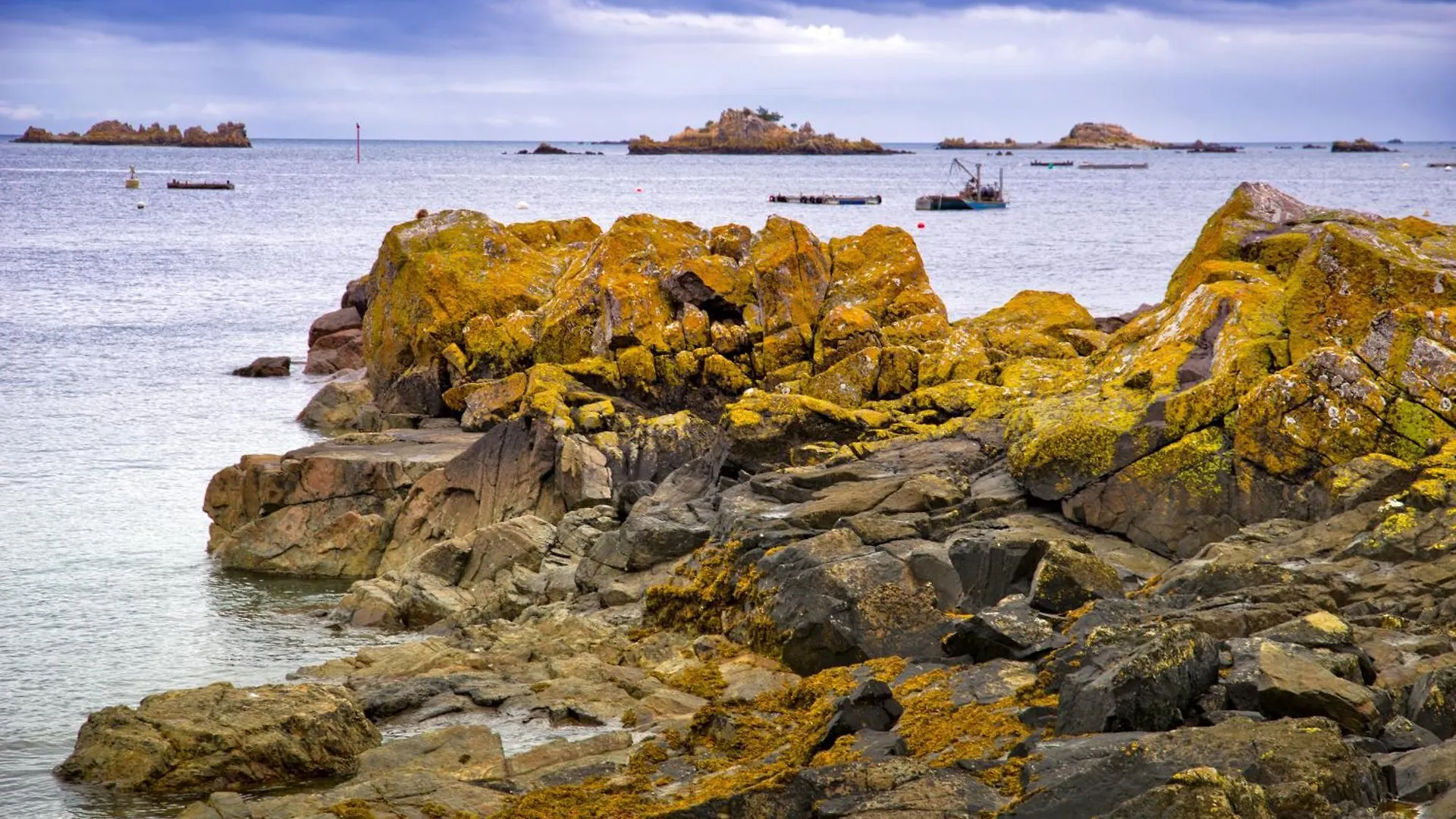 Hébergement de vacances Gite Paimpol Le Loarwenn
